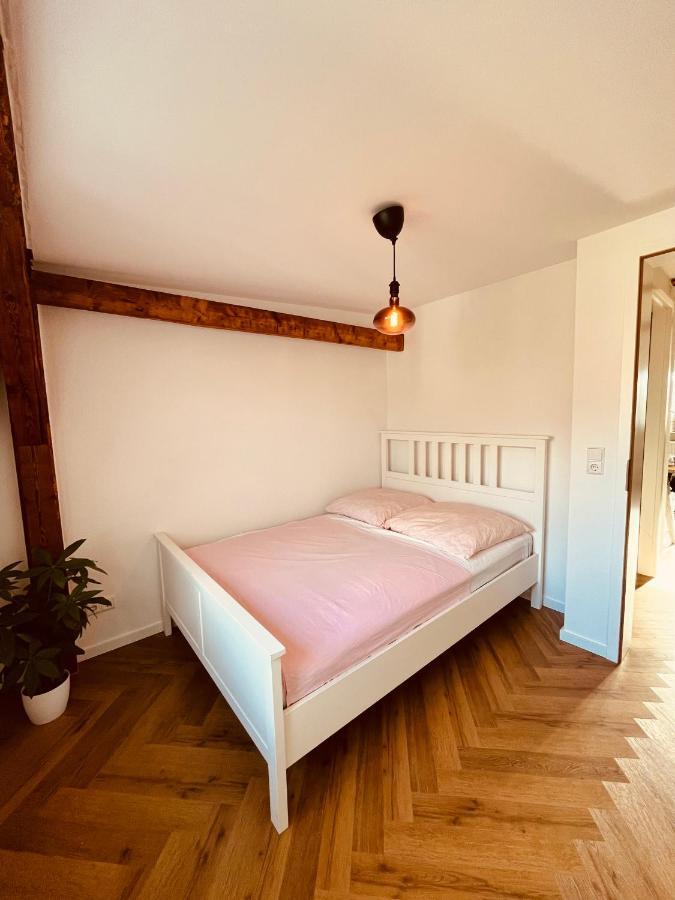 Jugendstil-Altbauwohnung Mit Dachterrasse Direkt An Der Karlsaue Cassel Extérieur photo